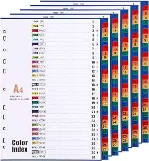 Lot de 31 intercalaires en plastique a4 [lot de 5] intercalaires polypropylène 1-31 avec 11