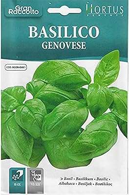 Graines de basilic hortos basilico genovese de haute qualité (fabriquées en italie) par cemente. DIAYTAR COTE D'IVOIRE  - votre partenaire discount pour une vie plus abordable. Nous vous présentons une vaste sélection de produits de qualité à des prix imbattables, allant de l'électroménager performant aux articles de mode élégants. Achetez malin avec nous et réalisez d'importantes économies.