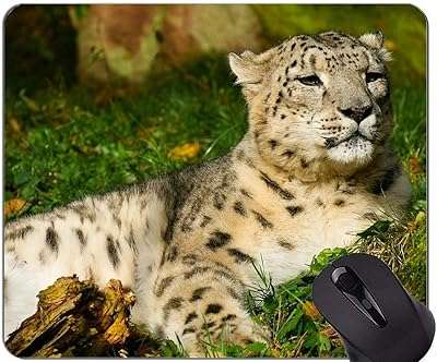 Tapis de souris jaguar léopard avec bord cousu 190615 020 300*250*3 mm. DIAYTAR COTE D'IVOIRE  - Votre source infaillible pour des achats discount en ligne. Explorez notre catalogue en constante évolution et découvrez des produits variés pour la maison, des appareils électroménagers essentiels, des gadgets sophistiqués et bien plus encore. Profitez de nos offres attractives et renouvelez votre intérieur, votre look et votre vie sans vous ruiner !