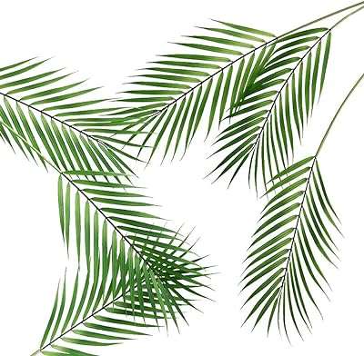 6 pièces feuilles de palmier tropical monstera artificielles en plastique vert pour la décoration. DIAYTAR COTE D'IVOIRE  - votre guichet unique pour des achats discount en ligne. Parcourez notre catalogue diversifié et trouvez des produits de qualité à des prix incroyables. Avec notre large sélection allant de la maison à l'informatique en passant par l'électroménager, vous trouverez toujours ce dont vous avez besoin chez nous.