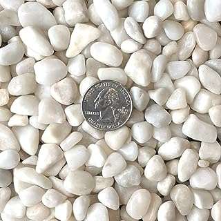 Pierre décorative polie blanche naturelle royal sapphire pierre de rivière chalky. À la recherche de bonnes affaires ? DIAYTAR COTE D'IVOIRE  est là pour vous aider ! Découvrez notre boutique en ligne remplie de produits discount, des dernières tendances en mode aux gadgets les plus recherchés. Ne manquez pas nos prix imbattables !