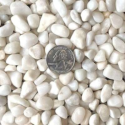 Pierre décorative polie blanche naturelle royal sapphire pierre de rivière chalky. DIAYTAR COTE D'IVOIRE, votre destination en ligne pour des achats économiques et malins. Avec notre sélection discount de produits pour la maison, l'électroménager, l'informatique, la mode et les gadgets, vous ne trouverez pas de meilleur endroit pour réaliser des économies sans compromettre la qualité. Parcourez notre site dès maintenant et découvrez des prix imbattables.