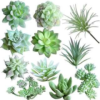 11 pièces de plantes succulentes artificielles sans pot réalistes mini pour la maison le jardin. DIAYTAR COTE D'IVOIRE  vous offre un large choix de produits discount, allant des appareils électroménagers dernier cri aux vêtements à la mode en passant par les gadgets les plus innovants. Faites vos achats en ligne en toute simplicité et bénéficiez de prix avantageux pour équiper votre maison avec style, sans vous ruiner.