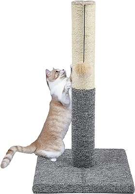 Griffoir pour chat en corde de sisal avec jouet suspendu adapté aux petits et grands. Faites des économies considérables avec DIAYTAR COTE D'IVOIRE, votre source ultime de produits discount en ligne. Parcourez notre large gamme d'articles allant de la maison à l'électroménager, en passant par l'informatique, la mode et les gadgets, et profitez de prix imbattables. Ne manquez pas cette occasion de vous offrir des produits de qualité à des tarifs défiant toute concurrence.