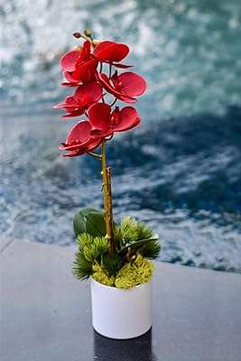 Fleurs d'orchidées artificielles yatai real touch dans un pot en plastique avec arrangement de mousse. DIAYTAR COTE D'IVOIRE  - Le paradis du shopping en ligne pour les amateurs d'affaires à prix réduit. Parcourez notre sélection de produits discount pour la maison, l'électroménager, l'informatique et bien plus encore. Réalisez de belles économies sans faire de compromis sur la qualité.