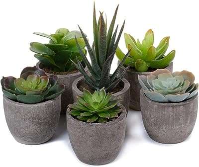 Ensemble de pelouse décorative en plastique pour plantes succulentes artificielles t4u. Faites-vous plaisir sans vous ruiner avec DIAYTAR COTE D'IVOIRE, la boutique en ligne qui propose des produits discount pour tous les budgets. Venez découvrir notre sélection de produits pour la maison, l'électroménager, l'informatique et la mode, et profitez de remises exceptionnelles.