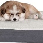 Lit orthopédique pour chien en mousse à mémoire de forme 2 couches avec housse. Avec DIAYTAR COTE D'IVOIRE, dites adieu aux prix élevés ! Découvrez notre gamme complète de produits discount, des accessoires de maison aux équipements électroniques, en passant par la mode et les gadgets à la pointe de la technologie. Trouvez tout ce dont vous avez besoin à prix réduits en quelques clics seulement.