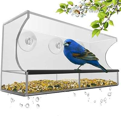 Mangeoire à oiseaux de fenêtre n h avec ventouses puissantes et bac. Découvrez DIAYTAR COTE D'IVOIRE, votre boutique en ligne généraliste offrant une sélection impressionnante de produits discount. Que vous recherchiez des articles pour votre maison, des appareils électroménagers à la pointe de la technologie, des équipements informatiques ou même les dernières tendances de la mode et les gadgets les plus cool, nous avons tout ce dont vous avez besoin, à des prix incroyablement bas !