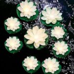 The white shop lumières de lotus flottantes pour piscine lumières de nénuphar. Besoin de produits discount en un seul endroit ? DIAYTAR COTE D'IVOIRE  est là pour vous ! Explorez notre boutique généraliste et découvrez une multitude d'articles à prix réduit, couvrant tous vos besoins, de l'électroménager à la mode en passant par l'informatique. Naviguez en toute simplicité et trouvez les meilleures affaires en ligne chez DIAYTAR COTE D'IVOIRE  !