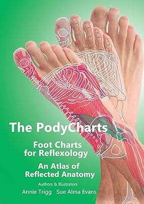 Les cartes des pieds podycharts pour la réflexologie. À la recherche de bons plans et de prix irrésistibles ? DIAYTAR COTE D'IVOIRE  est votre destination ultime ! Explorez notre boutique en ligne généraliste où vous trouverez une large gamme de produits discount, couvrant tous vos besoins. Achetez l'électroménager dont vous avez besoin, renouvelez votre garde-robe ou succombez aux derniers gadgets sans vous ruiner.