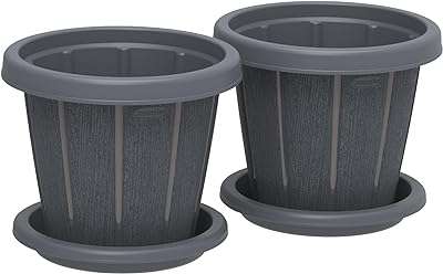 Ensemble de pots de fleurs cosmoplast cedargreen de 6 pouces avec plateau is_best_seller. Vous recherchez des produits discount de qualité ? Ne cherchez plus ! DIAYTAR COTE D'IVOIRE  propose une gamme étendue de produits allant de la maison à l'électroménager, de l'informatique à la mode. Faites des économies tout en comblant vos besoins avec notre boutique en ligne.