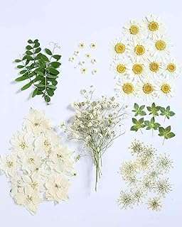 72 pièces de fleurs séchées pressées feuilles d'art naturel plante d'herbes pour la fabrication. DIAYTAR COTE D'IVOIRE, votre destination shopping discount en ligne. Parcourez notre catalogue étendu et faites votre choix parmi notre vaste gamme de produits pour la maison, l'électroménager, l'informatique et la mode. Profitez de nos prix imbattables et réalisez des économies substantielles dès maintenant.