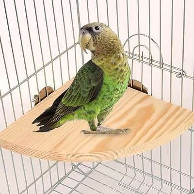 Antol perroquet oiseau support en bois ventilateur tremplin perche aire de jeux. Vous recherchez des produits discount de qualité ? Ne cherchez plus ! DIAYTAR COTE D'IVOIRE  propose une gamme étendue de produits allant de la maison à l'électroménager, de l'informatique à la mode. Faites des économies tout en comblant vos besoins avec notre boutique en ligne.