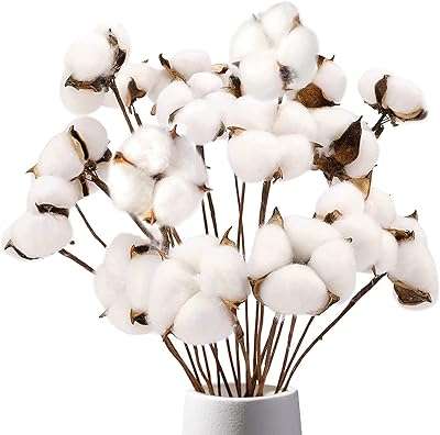 Tiges de coton domystar paquet de 8 cotons séchés naturels 15 boules au total. DIAYTAR COTE D'IVOIRE  is your go-to online store for incredible discounts on a wide array of products. From practical home appliances to high-performance electronics, stylish fashion finds, and innovative gadgets, our store offers unbeatable deals that ensure your shopping experience is both affordable and enjoyable.