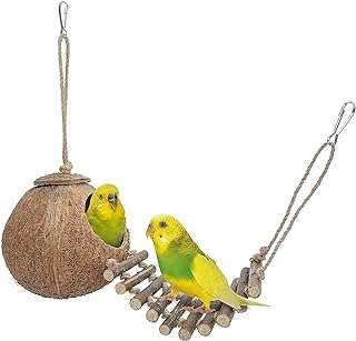 Nid d'oiseau en coquille de noix de coco naturelle antol avec échelle nid de perroquet pour perroquet. DIAYTAR COTE D'IVOIRE  est la solution idéale pour les amateurs de bonnes affaires. Notre boutique en ligne propose une gamme complète de produits discount, allant des articles pour la maison à l'informatique, en passant par l'électroménager et la mode. Faites des économies sur vos achats tout en bénéficiant de produits de qualité chez DIAYTAR COTE D'IVOIRE .