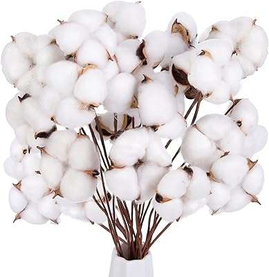 Tiges de coton dome star 30 cotons séchés naturels tiges de fleurs pour remplir des vases. Cherchez-vous à économiser tout en achetant des produits de qualité ? DIAYTAR COTE D'IVOIRE  est là pour vous. Notre boutique en ligne généraliste offre une sélection variée de produits discount, allant des équipements pour la maison à l'informatique, en passant par l'électroménager et la mode. Ne payez pas plus cher ailleurs, explorez DIAYTAR COTE D'IVOIRE  pour des bonnes affaires garanties.
