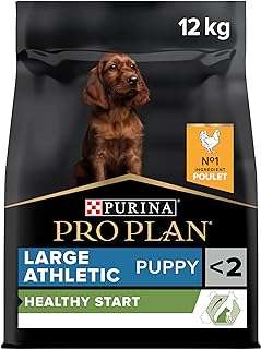 Proplan athletic senior puppy food poulet brun 12 kg 12366971. À la recherche de bons plans ? Rendez-vous sur DIAYTAR COTE D'IVOIRE, votre partenaire en ligne pour des produits discount de qualité. Parcourez notre large éventail de produits, allant de l'électroménager de pointe à la mode tendance, et profitez d'économies incroyables tout en apportant une touche de style à votre vie quotidienne.