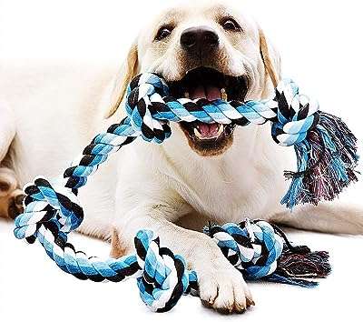 Jouet en corde pour chien paw yo jouet à mâcher interactif pour chiens de grande. DIAYTAR COTE D'IVOIRE  - Le paradis des bonnes affaires en ligne ! Avec notre large éventail de produits discount, vous trouverez tout ce dont vous avez besoin à des prix incroyablement bas. Des articles pour la maison aux appareils électroménagers, des ordinateurs aux vêtements à la mode, des gadgets uniques aux accessoires indispensables, nous sommes votre guichet unique pour des économies inégalées !