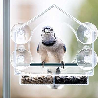 Mangeoire à oiseaux nature anywhere pour sauvages avec porte graines coulissant et 4. DIAYTAR COTE D'IVOIRE  est votre destination en ligne pour des offres incroyables. Parcourez notre collection variée de produits discount, comprenant des articles pour la maison, l'électroménager, l'informatique, la mode et les gadgets, et découvrez des prix imbattables qui correspondent à toutes les bourses.