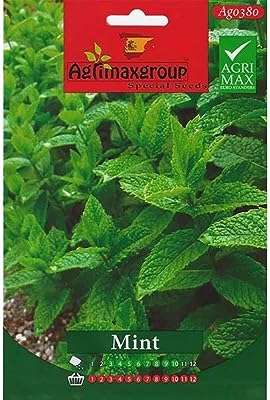 Graines de menthe de haute qualité du groupe agrimax® "garden care". DIAYTAR COTE D'IVOIRE, votre boutique en ligne préférée pour dénicher des produits à prix discount. Rendez-vous sur notre site pour trouver toutes les bonnes affaires de la maison à l'électroménager en passant par les gadgets high-tech. Ne sacrifiez pas la qualité pour économiser, optez pour DIAYTAR COTE D'IVOIRE  !