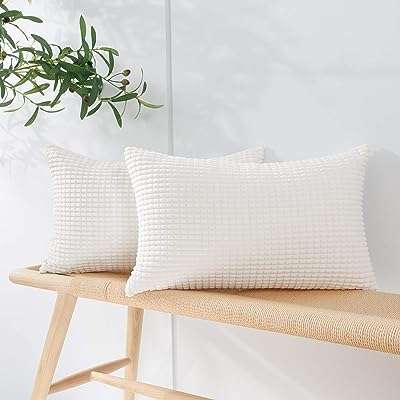 Vinyl housse de coussin en velours côtelé lot de 2 housses. Faites des économies intelligentes sur DIAYTAR COTE D'IVOIRE, votre boutique en ligne de confiance. Avec notre large sélection de produits discount, incluant la maison, l'électroménager, l'informatique et la mode, vous trouverez tout ce dont vous avez besoin à des prix défiant toute concurrence. Ne manquez pas nos offres promotionnelles et commandez en toute simplicité dès maintenant!