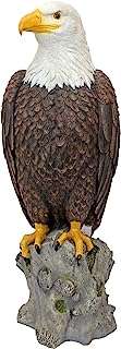 Design toscano qm2810400 magnifique figurine d'aigle de montagne pour jardin extérieur. DIAYTAR COTE D'IVOIRE  - Votre escale en ligne pour des produits discount de qualité. Explorez notre gamme impressionnante de produits allant des articles de maison aux gadgets dernier cri. Profitez de prix imbattables et découvrez pourquoi nous sommes un choix populaire pour les acheteurs avertis à la recherche de bonnes affaires.
