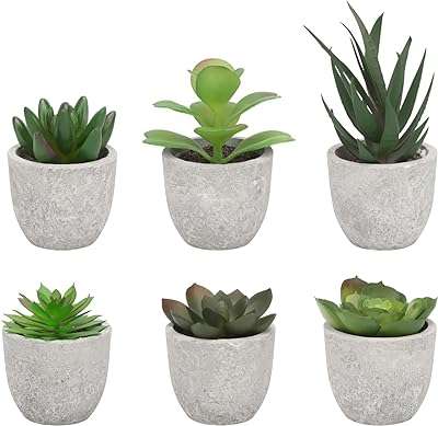 Artigreen 6 pots artificiels mini de plantes succulentes en plastique fausse. DIAYTAR COTE D'IVOIRE, votre partenaire en ligne pour des produits discount de qualité à des prix imbattables ! Trouvez tout ce dont vous avez besoin, des articles pour la maison aux appareils électroménagers, en passant par les accessoires informatiques et les produits tendance de la mode. Faites des bonnes affaires dès maintenant en visitant notre boutique en ligne.