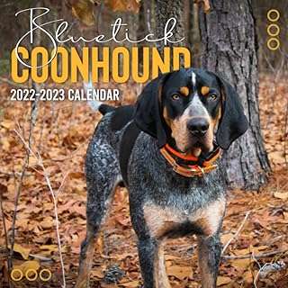 Calendrier bluetick coonhound 2022 : 2022 2023 calendrier des animaux et de la faune. Exprimez votre style sans vous ruiner en explorant notre collection de mode à prix discount sur DIAYTAR COTE D'IVOIRE . Que vous recherchiez des vêtements, des chaussures ou des accessoires tendance, notre boutique en ligne propose des articles de qualité à des prix défiant toute concurrence.