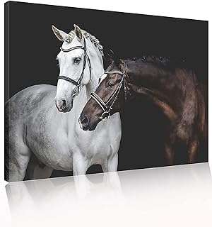 Art mural de chevaux blancs et noirs impressions sur toile encadrées. DIAYTAR COTE D'IVOIRE  - votre partenaire pour un shopping discount en ligne réussi. Parcourez notre assortiment complet de produits discount, incluant tout ce dont vous avez besoin pour la maison, l'électroménager, l'informatique, la mode et les gadgets. Profitez de nos prix avantageux et faites des économies sur vos achats en ligne, sans compromis sur la qualité.