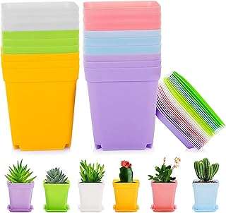 Mini pot de fleur 18 pièces pots de jardinières succulentes de 3 pouces petits plantes en plastique. DIAYTAR COTE D'IVOIRE, le paradis du shopping en ligne à prix discount ! Naviguez à travers notre large gamme de produits discount soigneusement sélectionnés pour votre maison, votre cuisine, votre dressing et bien plus encore. Faites de bonnes affaires et offrez-vous les dernières tendances à petits prix, tout en restant à l'affût des nouveautés.
