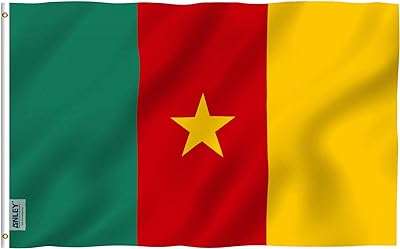 Drapeau du cameroun fly breeze 3x5 pieds couleurs vives et résistant à la décoloration. DIAYTAR COTE D'IVOIRE  est la référence en matière de produits discount en ligne. Parcourez notre catalogue et trouvez des articles indispensables pour la maison, des appareils électroménagers de qualité, des solutions informatiques abordables, des vêtements tendance et des gadgets à des prix incroyables.
