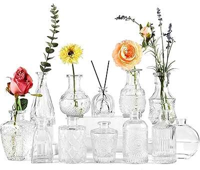 Ensemble de 12 mini vases à bourgeons en verre petits transparents gros fleurs pour centres. DIAYTAR COTE D'IVOIRE  - votre destination pour des produits de qualité à prix réduits. Parcourez notre boutique en ligne pour trouver des offres exceptionnelles sur des articles de maison, d'électroménager, de mode et de gadgets, et économisez tout en enchérissant votre style de vie.