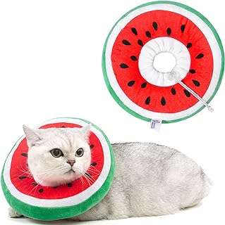 Collier de récupération réglable pour chat conception de cône naufragé mignon chat. À la recherche de bonnes affaires ? DIAYTAR COTE D'IVOIRE  vous offre une large gamme de produits discount pour la maison, l'électroménager, l'informatique, la mode et les gadgets. Profitez de prix imbattables sans sacrifier la qualité !