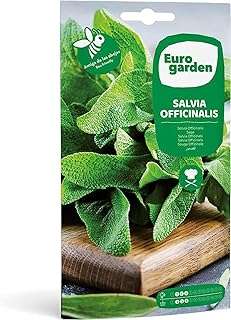 Graines de sauge eurogarden (salvia officinalis) de haute qualité fabriquées en espagne. DIAYTAR COTE D'IVOIRE  : votre destination en ligne pour des achats discount en toute facilité. Explorez notre vaste sélection de produits comprenant des articles pour la maison, des appareils électroniques, des vêtements à la mode et bien plus encore. Profitez des meilleurs prix et faites de bonnes affaires chez DIAYTAR COTE D'IVOIRE  !