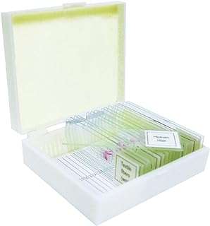 Ensemble de lames préparées vision scientific vsh130 méiose et mitose. Bienvenue sur DIAYTAR COTE D'IVOIRE, votre source incontournable pour des achats malins en ligne. Explorez notre sélection diversifiée de produits discount, qui comprend tout, des indispensables quotidiens aux derniers gadgets technologiques. Profitez de nos prix imbattables et réalisez des économies dès aujourd'hui !