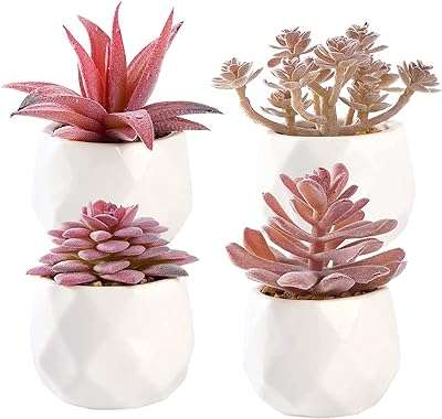 Succulentes artificielles dans un pot en céramique blanche pour la décoration de la maison du bureau. DIAYTAR COTE D'IVOIRE, votre solution discount en ligne pour une large gamme de produits. Trouvez tout ce dont vous avez besoin, de la maison à l'électroménager, de l'informatique à la mode et aux gadgets, à des prix imbattables. Naviguez, achetez et économisez avec notre boutique en ligne conviviale et bénéficiez d'une livraison rapide et fiable.
