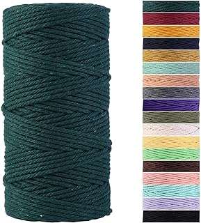 Cordon en macramé vert foncé 3 mm x 109 mètres cordon en coton coloré pour la. DIAYTAR COTE D'IVOIRE, votre destination en ligne pour des achats malins : explorez nos catégories variées telles que la maison, l'électroménager, l'informatique et la mode, et découvrez des produits discount à prix défiant toute concurrence. Faîtes-vous plaisir sans vous ruiner avec DIAYTAR COTE D'IVOIRE !