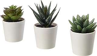 Plante en pot à feuillage de bambou artificiel ikea intérieur extérieur 570. DIAYTAR COTE D'IVOIRE, votre source incontournable de produits discount à portée de clic. Parcourez notre collection complète de produits abordables pour équiper votre maison, améliorer votre électroménager, fournir votre informatique, compléter votre garde-robe et découvrir les derniers gadgets. Optez pour une expérience de shopping en ligne pratique et économique avec DIAYTAR COTE D'IVOIRE .