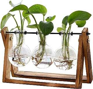 Pot de plante avec support en bois vase en verre pour plantes. DIAYTAR COTE D'IVOIRE  - des réductions incroyables sur tous les produits dont vous avez besoin. Parcourez notre boutique en ligne pour découvrir des offres discount sur des centaines d'articles, allant de la mode aux appareils électroménagers dernier cri.