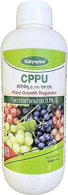 Katyayani cppu forchlorfenuron 01%l sl régulateur de croissance des plantes pour et jardin. Vous voulez dépenser moins tout en obtenant plus ? DIAYTAR COTE D'IVOIRE  est là pour vous ! Profitez de nos offres exceptionnelles sur une large gamme de produits, allant des articles ménagers à l'électroménager, en passant par les gadgets et la mode. Faites des économies sans compromettre la qualité.