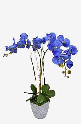 Orchidée artificielle pour plusieurs occasions bleu. DIAYTAR COTE D'IVOIRE  - La meilleure adresse pour des prix imbattables sur une vaste sélection de produits. Que vous recherchiez des articles pour votre maison, votre informatique ou votre garde-robe, nous avons tout ce qu'il vous faut à prix discount. Explorez notre site dès maintenant et profitez des meilleures affaires en ligne!