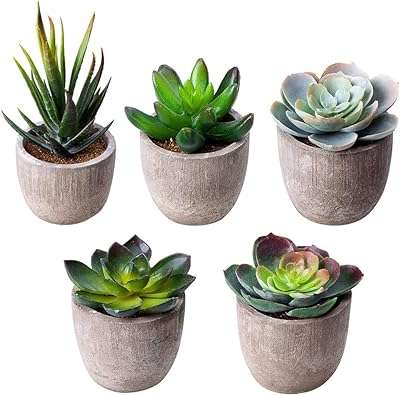 Faux plantes succulentes variété de cactus décoratives en pot avec gris. À la recherche de bonnes affaires ? Ne cherchez plus ! DIAYTAR COTE D'IVOIRE  est là pour vous. Avec une gamme complète de produits discount, allant de la maison à l'électroménager, de l'informatique à la mode et aux gadgets tendance, vous trouverez sûrement ce que vous cherchez tout en réalisant des économies substantielles.