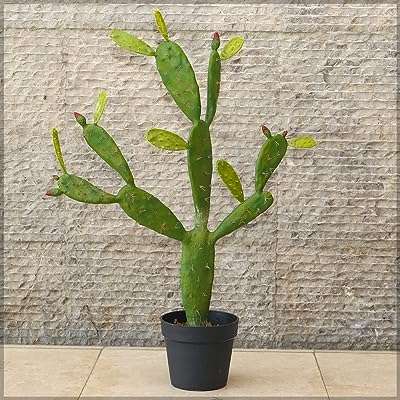 Cactus artificiel yatai de 92 cm de hauteur avec épines souples décoration végétale comprenant un pot. DIAYTAR COTE D'IVOIRE  - Votre source en ligne pour des produits discount de qualité. Explorez notre boutique en ligne et découvrez une large variété de produits, du petit électroménager aux gadgets les plus en vogue. Profitez de nos prix cassés et trouvez les meilleurs deals pour vos besoins quotidiens.