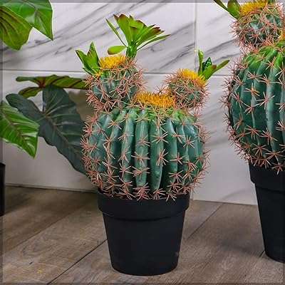 Plantes de cactus artificielles yatai avec épines douces décoration végétale comprenant un joli. Maximisez votre budget chez DIAYTAR COTE D'IVOIRE, votre destination en ligne pour des affaires imbattables. Nous vous offrons une gamme complète de produits discount, allant des articles de la maison à l'électroménager, de l'informatique à la mode. Faites des économies sans compromettre la qualité avec DIAYTAR COTE D'IVOIRE !