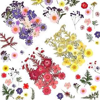 Fleurs séchées en résine fleurs séchées ensemble de pressées naturelles pour kit. Faites des économies en un clic avec DIAYTAR COTE D'IVOIRE  - votre guichet unique pour tous vos besoins en produits discount. Explorez notre sélection diversifiée, allant de l'informatique à l'électroménager, et obtenez les articles dont vous avez besoin sans vous ruiner.