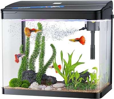 Aquarium bondon de 5 gallons kit d'aquarium en verre betta aquarium de bureau comprenant un filtre. DIAYTAR COTE D'IVOIRE  - Le paradis du shopping en ligne pour les amateurs d'affaires à prix réduit. Parcourez notre sélection de produits discount pour la maison, l'électroménager, l'informatique et bien plus encore. Réalisez de belles économies sans faire de compromis sur la qualité.
