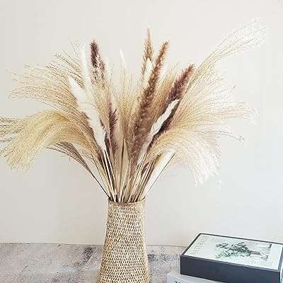 60 pièces d'herbe de pampa séchée naturelle composition florale pour la décoration. Vous cherchez des produits discount sans compromis sur la qualité ? DIAYTAR COTE D'IVOIRE  répond à vos attentes en offrant une large gamme d'articles pour tous les besoins, des appareils électroménagers aux gadgets dernier cri. Explorez notre catalogue en ligne et trouvez tout ce dont vous avez besoin à prix cassés.