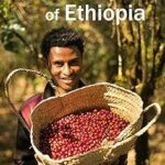 Atlas du café d'ethiopie. Faites des économies substantielles sur DIAYTAR COTE D'IVOIRE ! Parcourez notre catalogue en ligne et découvrez une gamme complète de produits de la maison à l'électroménager, de l'informatique à la mode en passant par les gadgets, tous proposés à des prix discount exceptionnels.
