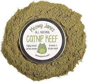 Meowy janes catnip keef 14 grammes poudre concentrée d'herbe à. Avec DIAYTAR COTE D'IVOIRE, obtenez le meilleur rapport qualité-prix sur tous vos achats en ligne. Parcourez notre catalogue diversifié et faites des économies sur des produits essentiels pour la maison, les équipements informatiques et même les dernières tendances en matière de mode.