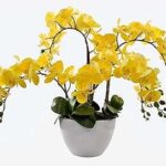 Orchidée artificielle pour plusieurs occasions jaune. DIAYTAR COTE D'IVOIRE, le choix parfait pour tous les chasseurs de bonnes affaires. Plongez dans notre boutique en ligne et explorez notre large sélection d'articles discount, comprenant tout, des articles pour la maison à l'électroménager, en passant par l'informatique, la mode et les gadgets. Faites des économies substantielles sans sacrifier la qualité et donnez une nouvelle dimension à votre expérience de shopping en ligne.